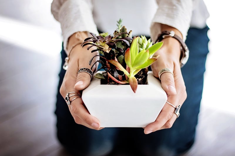 Recycled Pots
